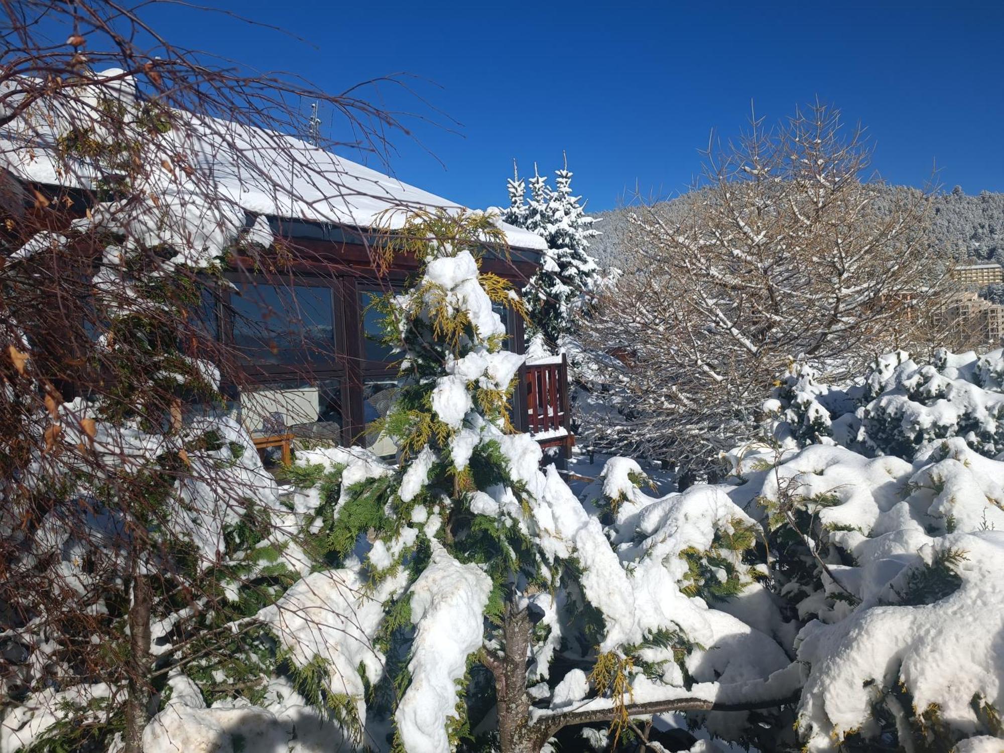 Chalet Pres Des Pistes Avec Vue Panoramique Лез Англ Екстериор снимка